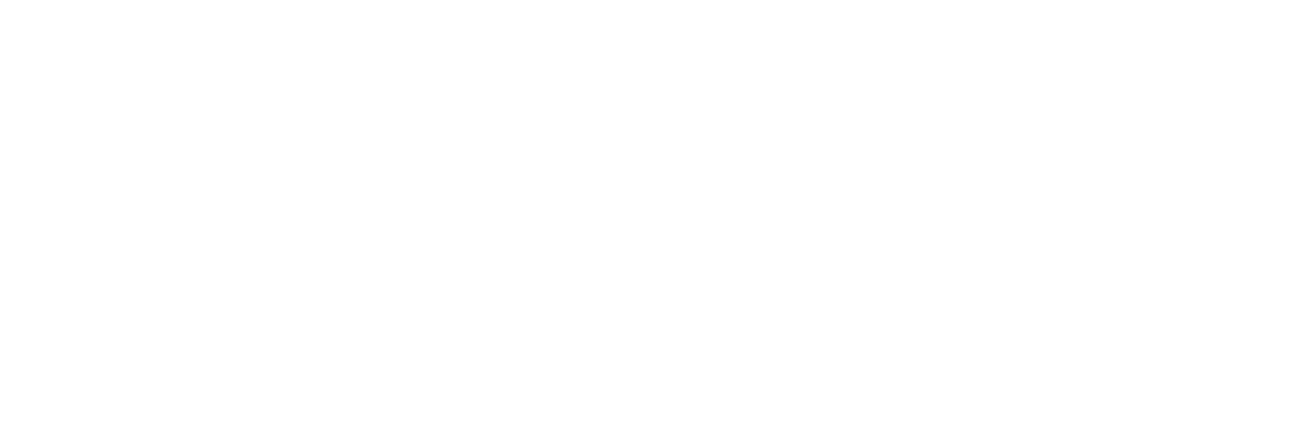 Delmarva-Marine-Group_lp_logo